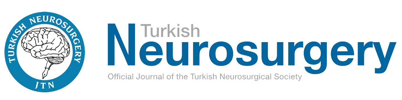 Turkish Neurosurgery