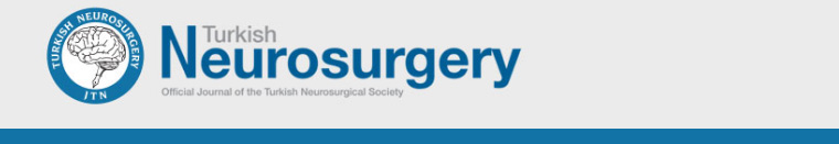 Turkish Neurosurgery